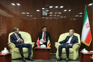 ایران و ترکیه برای تبادل برق به توافق رسیدند / هدفگذاری ۳۰ میلیارد دلاری ایران و ترکیه در حوزه انرژی