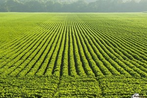 صدور ۸۱۵ فقره مجوز تغییرکاربری اراضی در استان زنجان