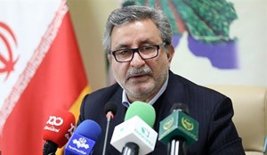 تولید 98 درصد بذر مورد نیاز اراضی کشاورزی در داخل کشور