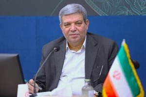 استفاده از ظرفیت محله در مدیریت بحران بسیار موثر است