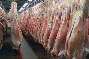 عرضه و قیمت گوشت قرمز در سال آینده بهبود می‌یابد