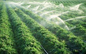 لزوم مدیریت منابع آب و استفاده از فناوری نوین در شرایط خشکسالی