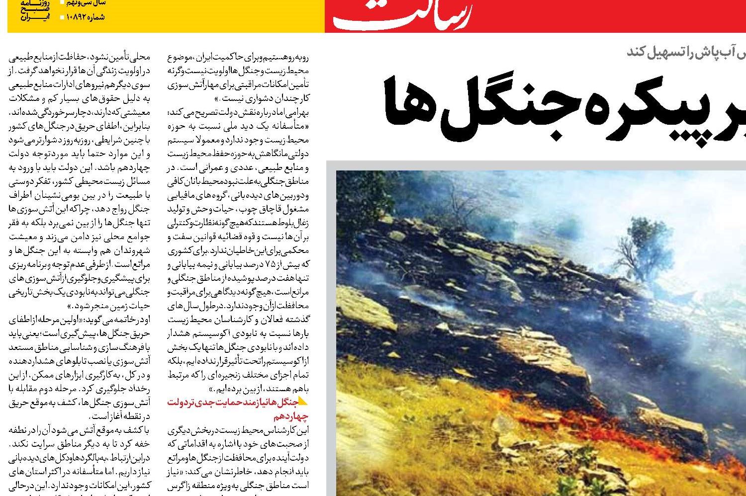  حریق؛ زخمی عمیق بر پیکره جنگل‌ها