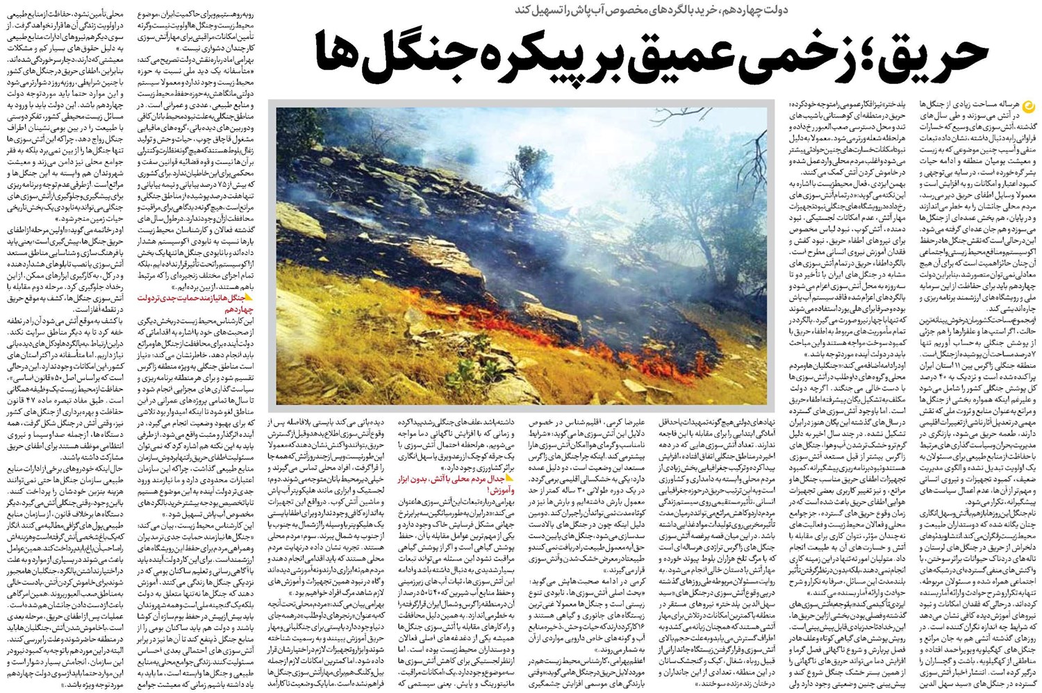 حریق؛ زخمی عمیق بر پیکره جنگلها