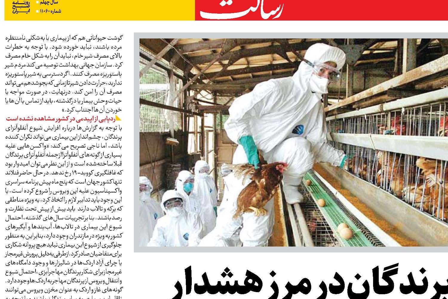 آنفلوآنزای پرندگان در مرز هشدار