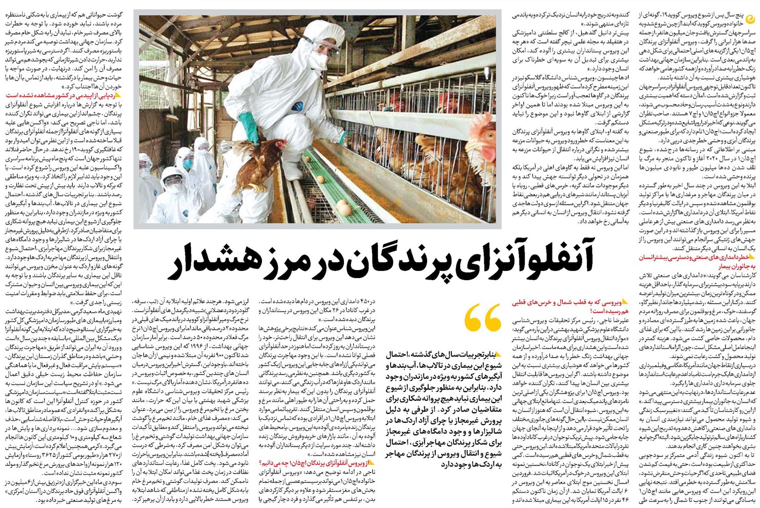 آنفلوآنزای پرندگان در مرز هشدار