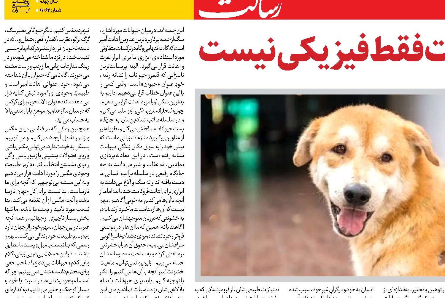 خشونت باحیوانات فقط فیزیکی نیست