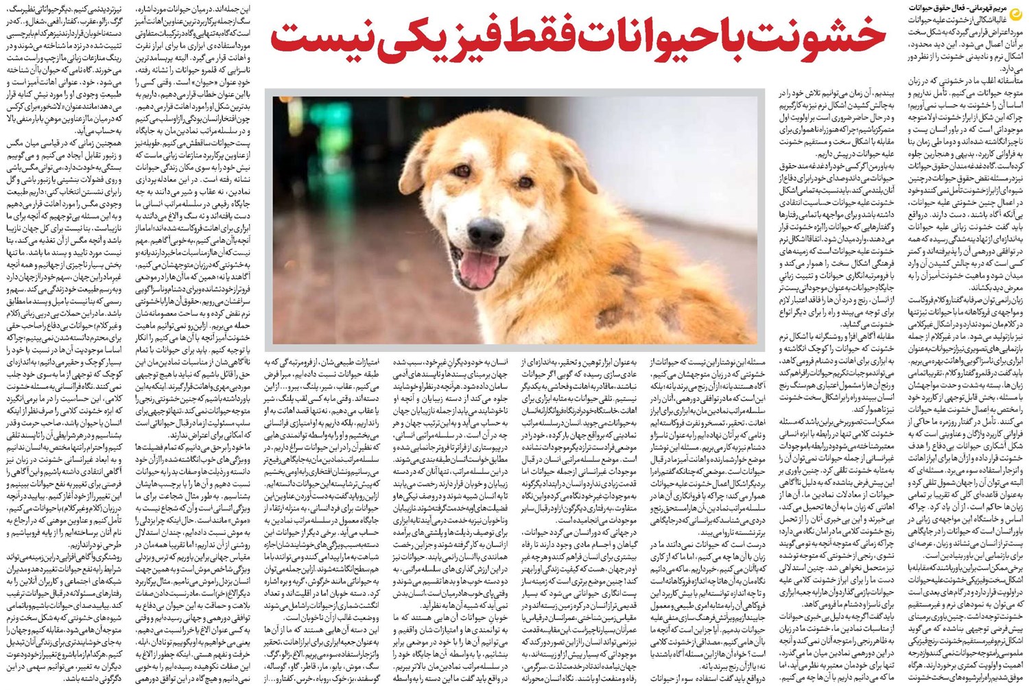 خشونت باحیوانات فقط فیزیکی نیست