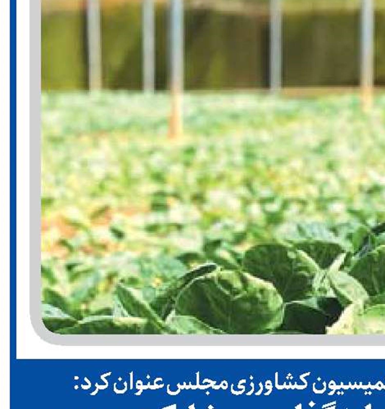 ضرورت افزایش سرمایه‌گذاری و مشارکت مردمی ‌ در حوزه کشاورزی 