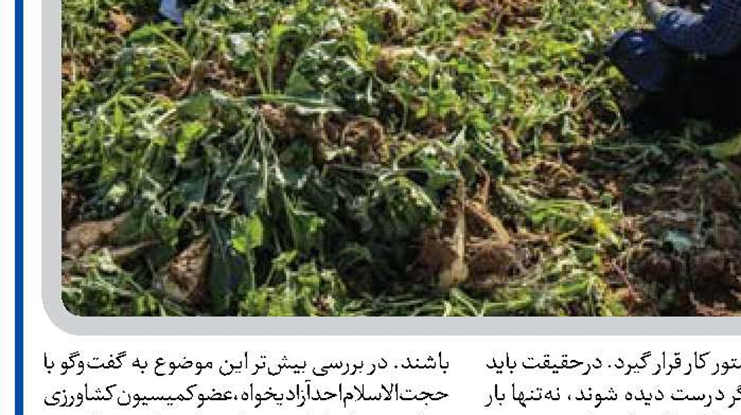  لزوم توسعه تسهیلات خرد‌ و کلان برای تقویت اشتغال روستایی