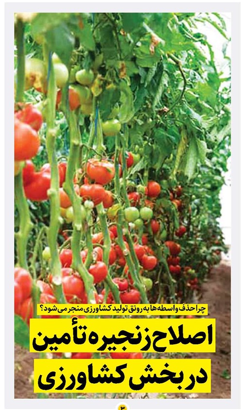 اصلاح زنجیره تأمین  در بخش کشاورزی