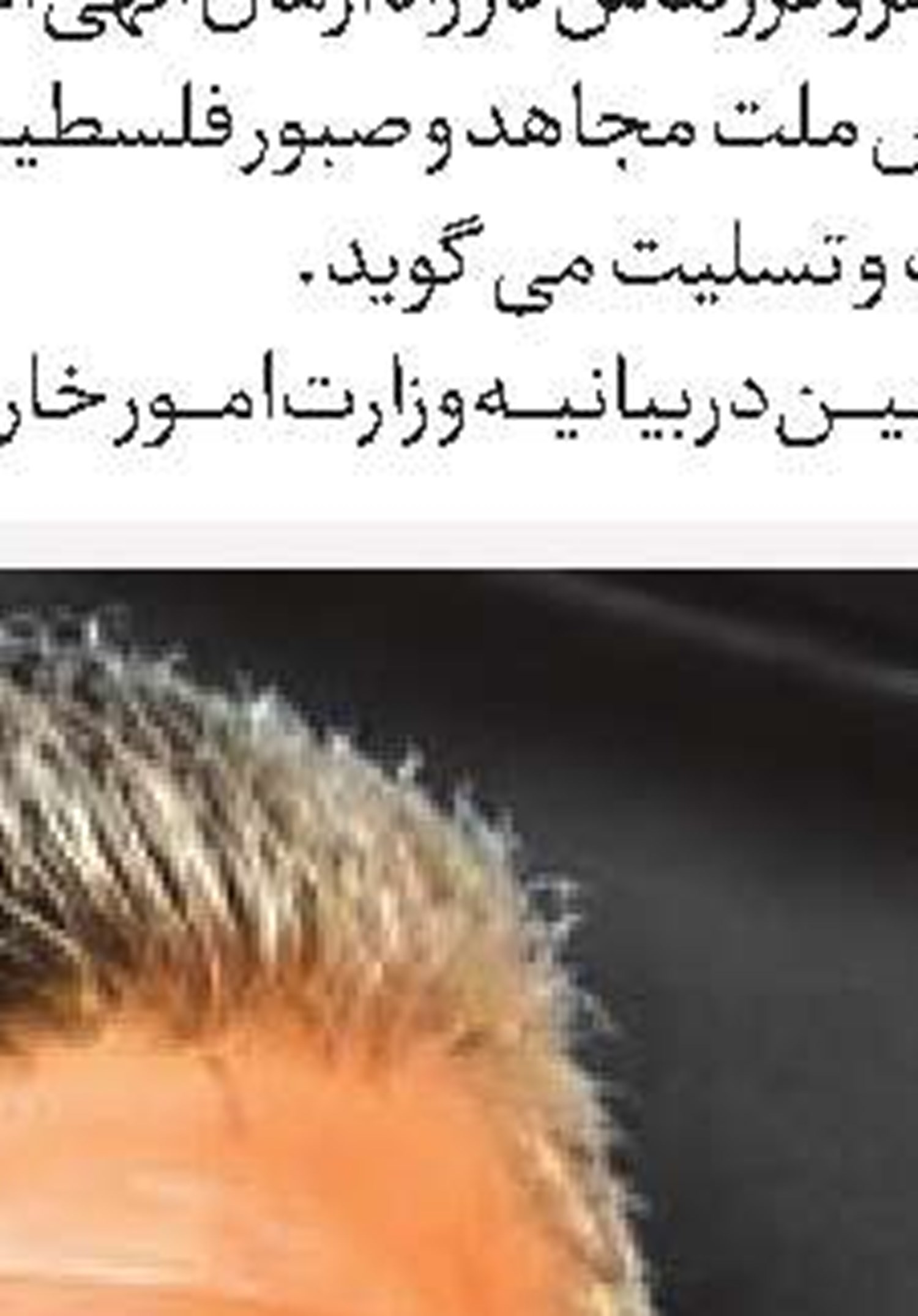  دشمنی که چشم دیدن تاریخ ایران را نداشت