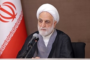 عناصر مخل امنیت و آرامش مردم در نهایت دقت و سرعت، محاکمه و مجازات شوند