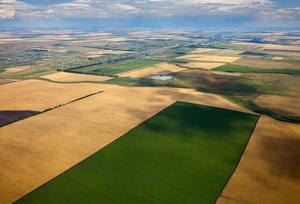 رفع تداخلات اراضی کشاورزی باید به صورت پلاک‌محور صورت گیرد