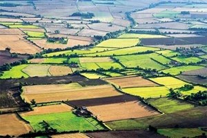 سند اراضی با کاربری کشاورزی صادر میشود