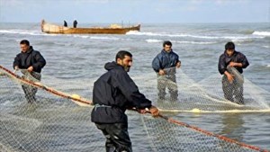 اعلام رسمی خاتمه فصل صید ماهیان استخوانی در دریای خزر