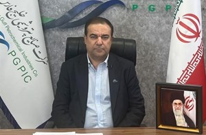 استاندارد سازی مدیریت توسعه در صنعت پتروشیمی