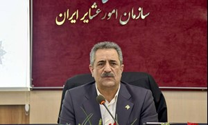 ۲۵ درصد جامعه عشایری از پنلهای خورشیدی بهره مند هستند / افزایش ۳۰ درصدی ظرفیت تولید گوشت قرمز عشایر