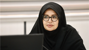 سامانه ساماندهی اسناد غیررسمی هنوز راه اندازی نشده است