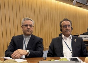 مجمع آیمو فرصتی برای تثبیت نقش ایران در حکمرانی دریایی جهان است