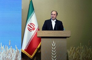 خودکفایی گندم با اجرای مرحله دوم طرح جهش تولید در دیمزارها ادامه مییابد