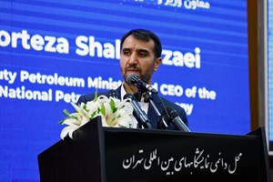 95 درصد توسعه صنعت پتروشیمی محقق شده است / بهره برداری از 15 پروژه بزرگ پتروشیمی تا پایان سال