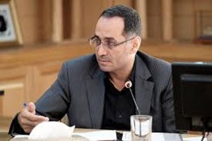 آمادهسازی ۳۰۰۰ دستگاه ناوگان حملونقل جادهای برای بازگشت زائران اربعین / ورود هواپیماهای MD به ناوگان پروازی