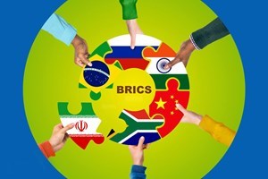 گسترش شبکههای تجاری حوزه کشاورزی با همکاری ایران و کشورهای عضو بریکس