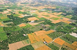 افزایش 5054 درصدی تجمیع و یکپارچگی اراضی کشاورزی در دولت سیزدهم/ رشد 922 درصدی رفع تداخلات اراضی