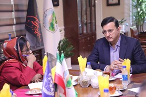 همکاری ایران و سازمان ملل؛ تمرکز بر بیابانزدایی و مقابله با گرد و غبار