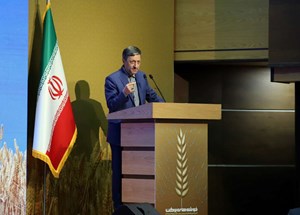 عمل به تعهدات 100 درصدی سال گذشته در برابر طرح جهش تولید در دیمزارها