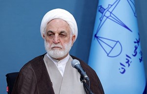پرونده قتل الهه حسین‌نژاد در نهایت دقت رسیدگی شود