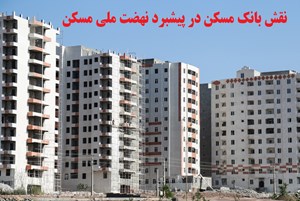 بانک مسکن نباید تنها بماند