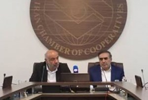 حمایت از تعاونی های خرد و بازارهای صادراتی جدید در دستور کار است