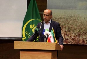 خرید تضمینی گندم مهمترین اقدام شرکت بازرگانی دولتی ایران/ خط قرمز ما کیفیت گندم و آرد است