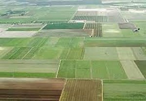 سنددار شدن اراضی موجب دستیابی به آمار دقیق زمینهای کشاورزی میشود