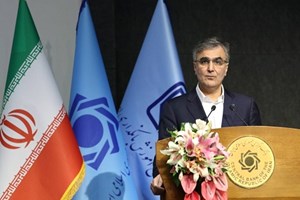 برنامه اصلاحی 8 بانک ناتراز با جدیت پیگیری می شود/ رشد ۴.۲درصدی اقتصاد ایران در بهار ۱۴۰۳
