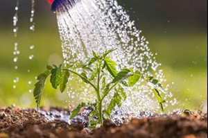 حفاظت از آب و خاک و زیست‌بوم کشور همچون دفاع مقدس ارزشمند و حیاتی است