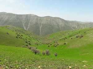 مصوبه شورای عالی اداری؛ اختلال در نظام بهرهبرداری از مراتع کشور