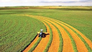 خلق ۴۸۰ میلیون دلار ارزشافزوده با اجرای طرح جهش تولید در دیمزارها