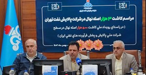 کاشت ۵۰۰ هزار اصله نهال به همت شرکت ملی پالایش و پخش فرآوردههای نفتی ایران