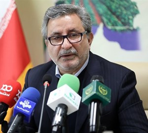 دستیابی به خودکفایی گندم با یکپارچهسازی اراضی کشاورزی