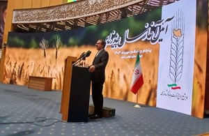 اسامی واردکنندگان محصولات اساسی محرمانه نیست /  لزوم شفافیت درعرصه واردات و صادرات کالاهای اساسی