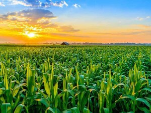 2 میلیارد دلار صرفهجویی ارزی دستاورد سازمان تات در راستای افزایش بهرهوری