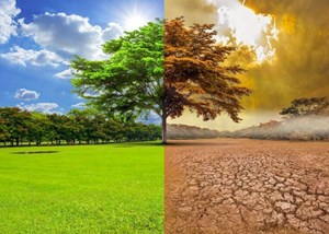 کمیته تغییر اقلیم وزارت جهاد کشاورزی بهزودی راه اندازی می شود