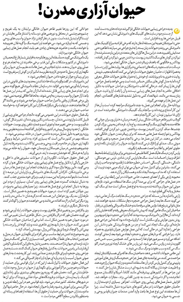 حیوان آزاری مدرن!