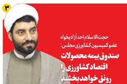 صندوق بیمه محصولات، اقتصاد کشاورزی را رونق خواهد بخشید