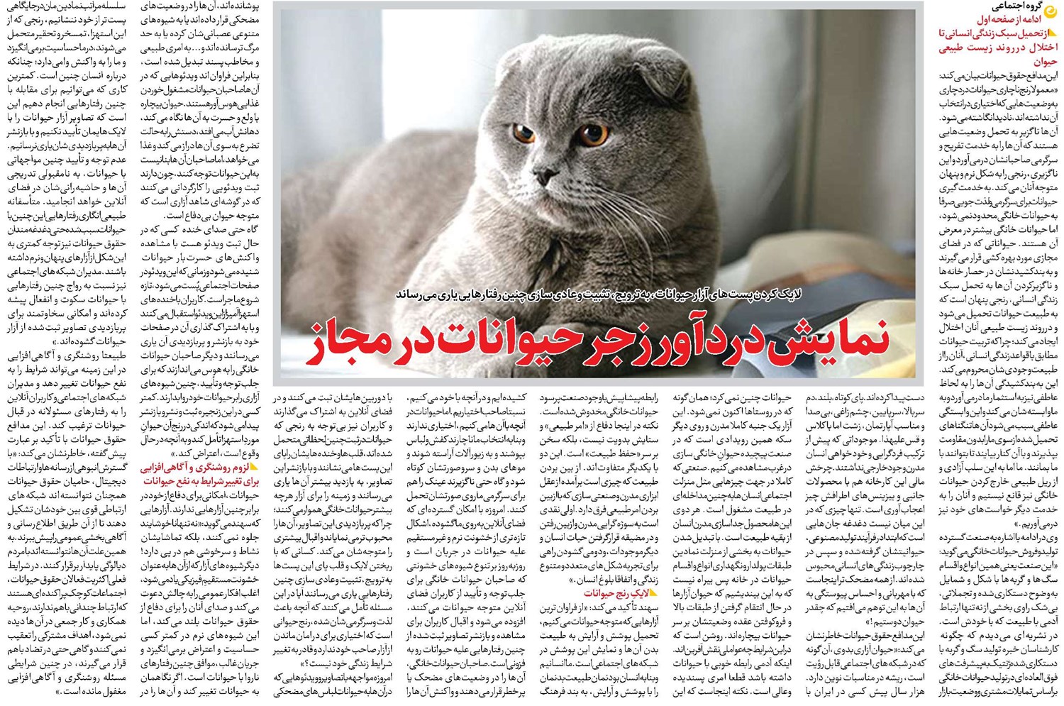 نمایش دردآور زجر حیوانات در مجاز