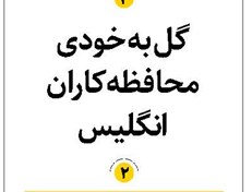 گل به خودی محافظه کاران انگلیس