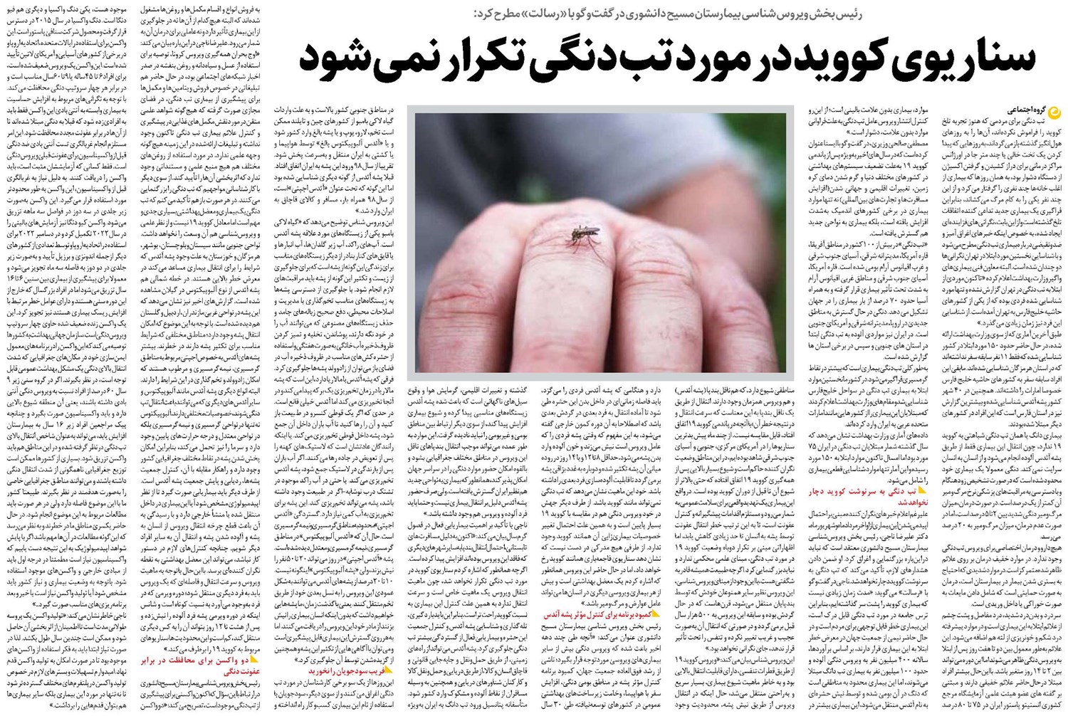 سناریوی کووید در مورد تب دنگی تکرار نمیشود
